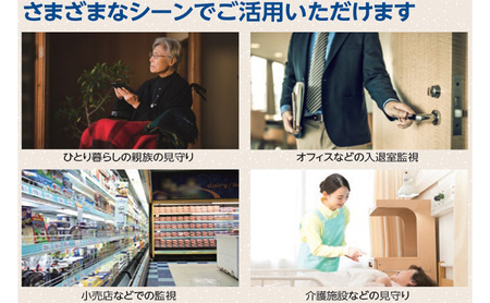 電球型ネットワークカメラ 『テラスアイ』 