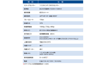 電球型ネットワークカメラ 『テラスアイ』 