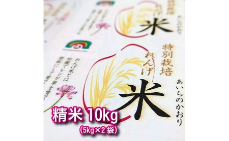 特別栽培れんげ米 日進市産 あいちのかおり 10kg ( 5kg × 2袋 ) 米 白米 精米 特別栽培米 コメ お米 おこめ 愛知 愛知県 日進市 24,500円