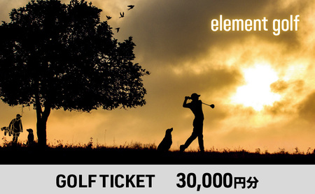 【30,000円分】 elementgolf ゴルフチケット (ゴルフクラブ作成、修理・調整、フィッティング) エレメントゴルフ × 名古屋外国語大学コラボデザインチケット ゴルフ ゴルフクラブ 愛知 日進市