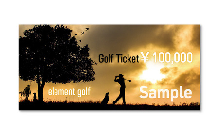 【300,000円分】 elementgolf ゴルフチケット (ゴルフクラブ作成、修理・調整、フィッティング) エレメントゴルフ × 名古屋外国語大学コラボデザインチケット ゴルフ ゴルフクラブ 愛知 日進市