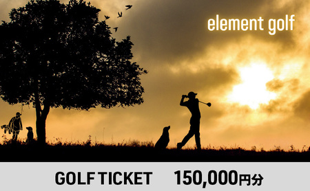 【150,000円分】 elementgolf ゴルフチケット (ゴルフクラブ作成、修理・調整、フィッティング) エレメントゴルフ × 名古屋外国語大学コラボデザインチケット ゴルフ ゴルフクラブ 愛知 日進市