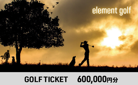 【600,000円分】 elementgolf ゴルフチケット (ゴルフクラブ作成、修理・調整、フィッティング) エレメントゴルフ × 名古屋外国語大学コラボデザインチケット ゴルフ ゴルフクラブ 愛知 日進市