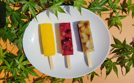 葛バー 10種 22本 セット 詰め合わせ 溶けないアイス くずバー とけないアイス 葛 アイス バー 和菓子 お菓子 菓子 デザート スイーツ いちご みかん 白桃 パイン ラムネ 抹茶 栗小倉 マンゴー ぶどう ブルーベリー 愛知 愛知県 日進市