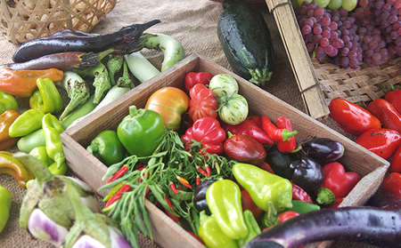 下田ビレッジ農園 半年間（6ヶ月間） ご利用券 体験チケット 愛知県 貸し農園 肥料完備 道具完備 ロッカー完備 野菜作り 畑 貸農園チケット レンタル レンタルファーム 
