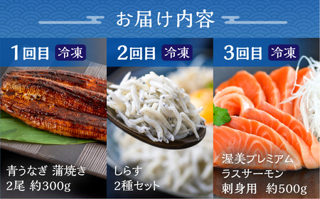 【定期便】海産物 定期便 3回 海鮮 ( うなぎ / しらす / サーモン) 