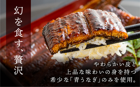 【定期便】海産物 定期便 3回 海鮮 ( うなぎ / しらす / サーモン) 