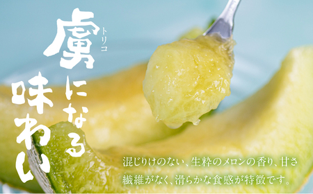 《先行予約》純系古田メロン2玉 メロン 石井農園