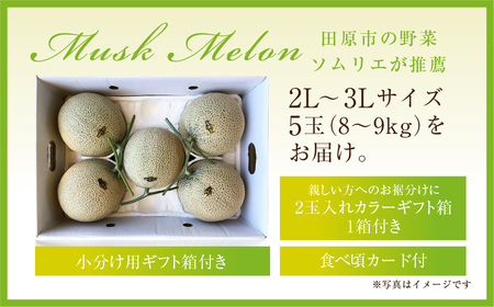 《先行予約》マスクメロン5玉(8~9キロ)メロン T-farm