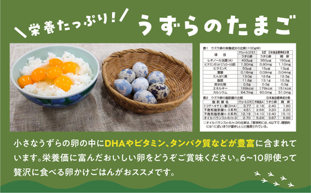 田原市産 うずらの卵 10玉入り×24パック タイデスうずら 鶉 ウズラ たまご 240個 クウェールコスモス 愛知県 田原市 国産 渥美半島 18000円