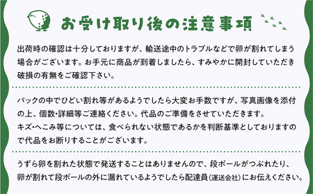 田原市産 うずらの卵 10玉入り×24パック タイデスうずら 鶉 ウズラ たまご 240個 クウェールコスモス 愛知県 田原市 国産 渥美半島 18000円