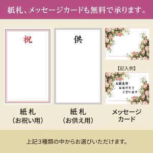 胡蝶蘭 大輪 白色 2本立ち 訳あり (15輪以上) 中村洋ラン 陶器鉢寄せ植え ギフト 鉢花 蘭 プレゼント 洋ラン 生花 お花 お祝い 贈り物 田原市 【渥美半島たはらブランド】