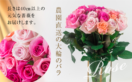 バラ 花束 大輪 ピンク 30本 (40cm) ピンクミックス ブーケ 薔薇 ローズ 生花 観賞用 プレゼント 花 ギフト 誕生日 植物 フラワー 土壌栽培 産地直送 田原市 人気 切り花 切花
