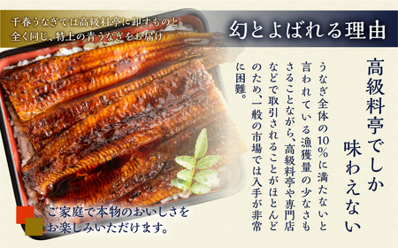 最高級 特上 幻の青うなぎ 100尾 うなぎ