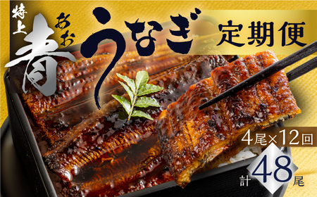 【定期便】幻の青うなぎ 蒲焼 4尾 全12回 定期便　合計48尾