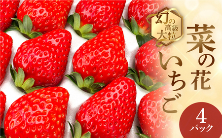 先行予約 菜の花いちご6～8粒入 4パック 大粒 　1月～発送開始 イチゴ いちご 苺 果物 くだもの フルーツ 贅沢品 贈答品 高級品 ブランド 先行予約 お取り寄せ 田原市 産地直送 いちご いちご いちご  品種お任せ あきひめ 紅ほっぺ さがほのか