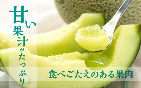 《先行予約》タカミメロン 5kg 3~5玉 メロン 水野農園