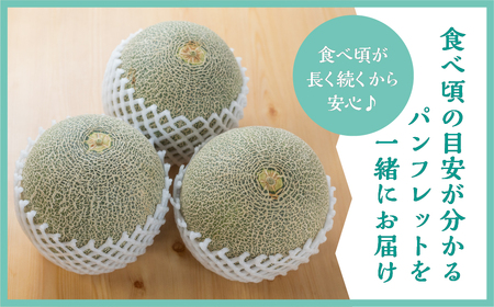 《先行予約》タカミメロン 5kg 3~5玉 メロン 水野農園