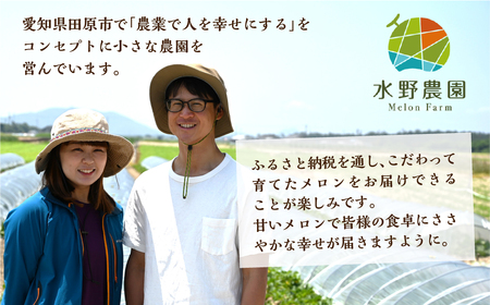 《先行予約》タカミメロン 5kg 3~5玉 メロン 水野農園