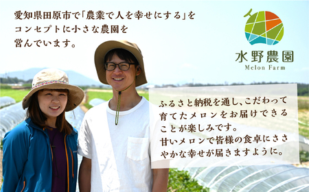  先行予約 タカミレッド 5kg 3～5玉 水野農園 メロン めろん 先行受付 フルーツ 果物 お中元 お取り寄せ ギフト 渥美半島 田原市 産地直送 送料無料 12000円 メロンフルーツ