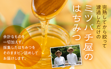 国産 純粋 無添加 完熟 はちみつ 蜂蜜 110g 2種4本セット 鈴木養蜂園