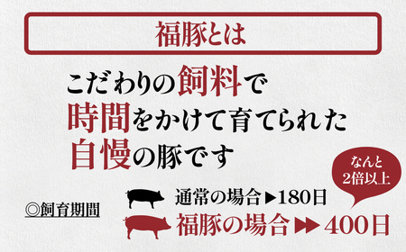 季節限定　5月～12月発送　福豚餃子