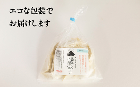 季節限定　5月～12月発送　福豚餃子
