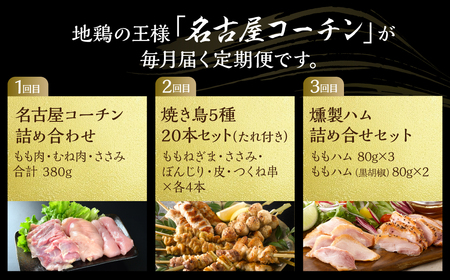 定期便 鶏三和 三和の純鶏 名古屋コーチン 3回お届け 正肉セット 焼鳥セット ハムセット 精肉 焼鳥 燻製ハム 鶏肉 地鶏 鳥肉 さんわ チキン もも肉 むね肉 ささみ ステーキ 肉 渥美半島 田原市 送料無料