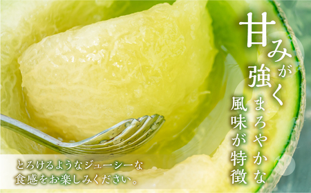 【定期便】先行予約 マスクメロン 3回定期便 2玉 3Lサイズ   日研農園