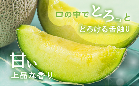 【定期便】先行予約 マスクメロン 4回定期便 2玉 2026年6月スタート マルカ農園