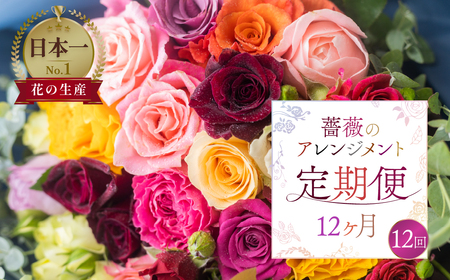 定期便】薔薇のアレンジメント (バラ20本+ユーカリ) 12ヶ月 12回お届け 