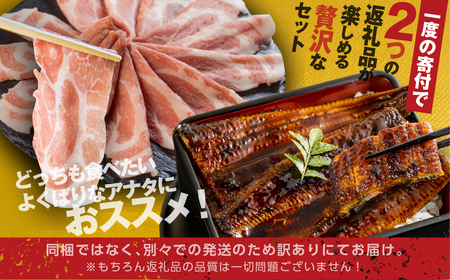 幻の青うなぎ＆田原ポークセット    食感・風味全てに自信のある最高のうなぎ  うなぎ 鰻 ウナギ 【ふるなび限定】FN-Limited