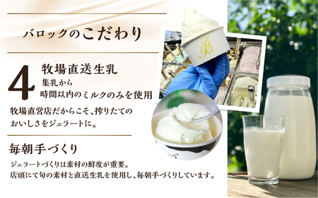 バロック ジェラート 訳あり おまかせセット 6個 入り ミルクフレーバー