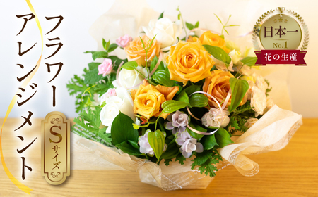 フラワーアレンジメント Sサイズ 生花 観賞用 プレゼント 花 ギフト 誕生日 植物 フラワー 産地直送 田原市 アレンジメント 人気 切り花 切花 23000円 