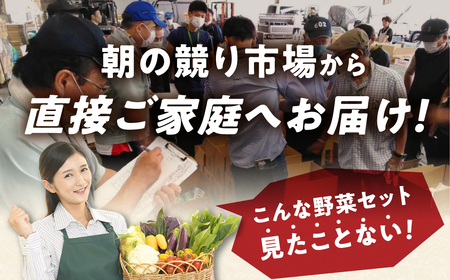 【定期便】 旬の野菜 フルーツ 詰め合わせ 6回定期便 ～ 12品 野菜ソムリエ 厳選 野菜セット