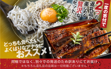 青うなぎ＆しらす干し  渥美半島よくばりセット  蒲焼き 鰻 ウナギ うなぎ蒲焼 惣菜 幻 簡単調理 おいしい 高評価 ふるさと納税 魚 さかな 魚介 ランキング しらす シラス おすすめ 