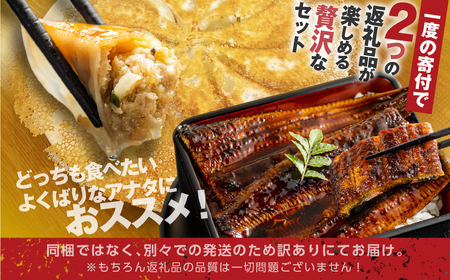 青うなぎ＆餃子  渥美半島よくばりセット 蒲焼き 鰻 ウナギ うなぎ蒲焼 惣菜 幻 簡単調理 おいしい 高評価 ふるさと納税 魚 さかな 魚介 ランキング ぎょうざ ギョウザ おかず おすすめ 