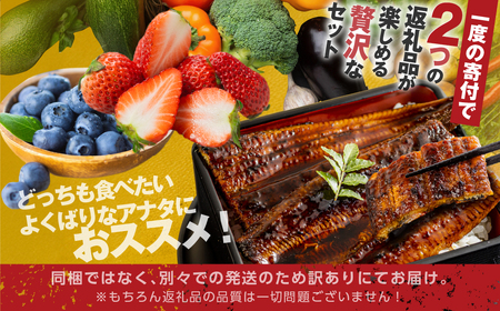 青うなぎ＆野菜  渥美半島よくばりセット 蒲焼き 鰻 ウナギ うなぎ蒲焼 惣菜 幻 簡単調理 おいしい 高評価 ふるさと納税 魚 さかな 魚介 ランキング 野菜ソムリエ厳選 旬の野菜 フルーツ 詰め合わせ おすすめ 