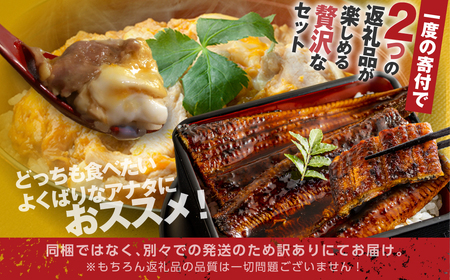 青うなぎ＆名古屋コーチン親子丼 よくばりセット うなぎ