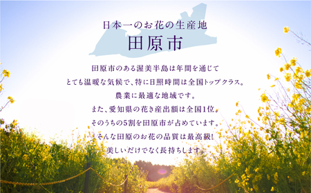 【定期便】お花屋さんのタハナBOX定期便 3回 花 花束 切り花