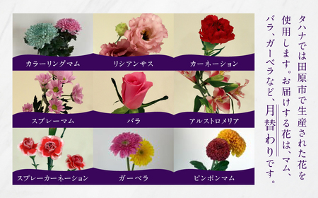 【定期便】お花屋さんのタハナBOX定期便 3回 花 花束 切り花