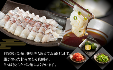 天然真鯛しゃぶしゃぶ薄造り 1～2人前 伊良湖産 天然真鯛 しゃぶしゃぶ 鍋 真鯛 約200g 三河湾 自家製ポン酢 薬味付き なべ セット 12000円 