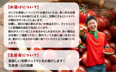 グランプリ受賞 完熟 出汁推し実 ミニトマト 1.5kg