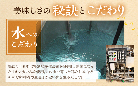 【感動の卵体験】コク旨 極上卵 30 個 割れ保証付き