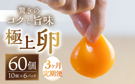 【3回定期便】コク旨 極上卵 60個 割れ保証付き 卵