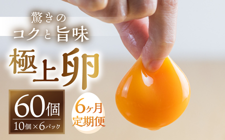 【6回定期便】コク旨 極上卵 60個 割れ保証付き