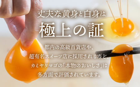 【6回定期便】コク旨 極上卵 30個 割れ保証付き