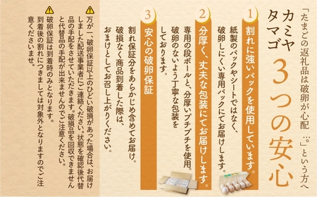 【6回定期便】コク旨 極上卵 30個 割れ保証付き