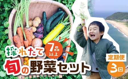 【定期便 】旬彩野菜セット定期便3回 旬の野菜 7品目以上