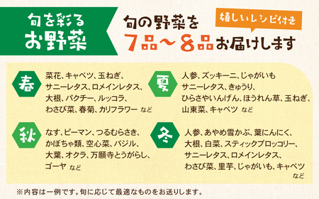 【定期便 】旬彩野菜セット定期便3回 旬の野菜 7品目以上